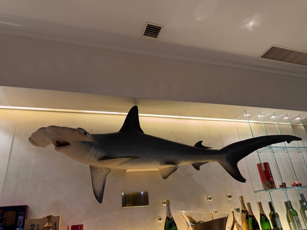 Tsukushiro restaurant interior display stuffed hammerhead shark