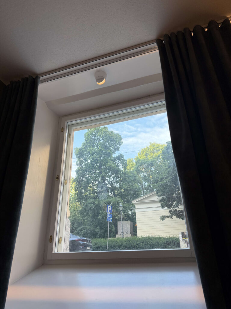 A view out of a semi-basement window, showing lush green trees against a blue sky.