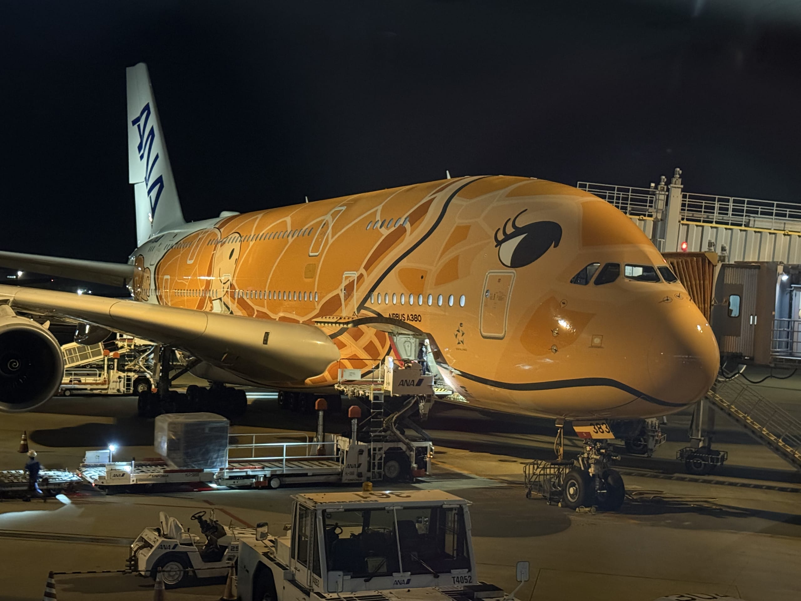 夜の空港で駐機しているANAのエアバスA380。機体はオレンジ色で、フライング・ホヌと呼ばれるウミガメが描かれた特別塗装が施されている。