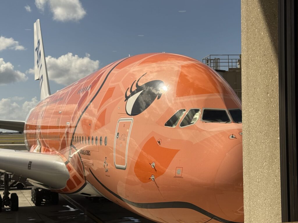 空港の駐機場に停まっている、オレンジ色のウミガメがデザインされたANAのエアバスA380「フライングホヌ」。機体の前方がアップで写っており、大きな目が特徴的。青空には白い雲が浮かんでいる。
