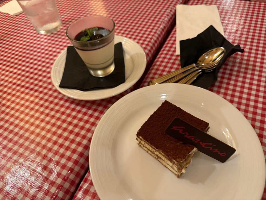 A slice of tiramisu and a panna cotta are placed on a red and white checkered tablecloth. The tiramisu, dusted with cocoa powder, is in the foreground, and the panna cotta with berry sauce is visible in the background.
