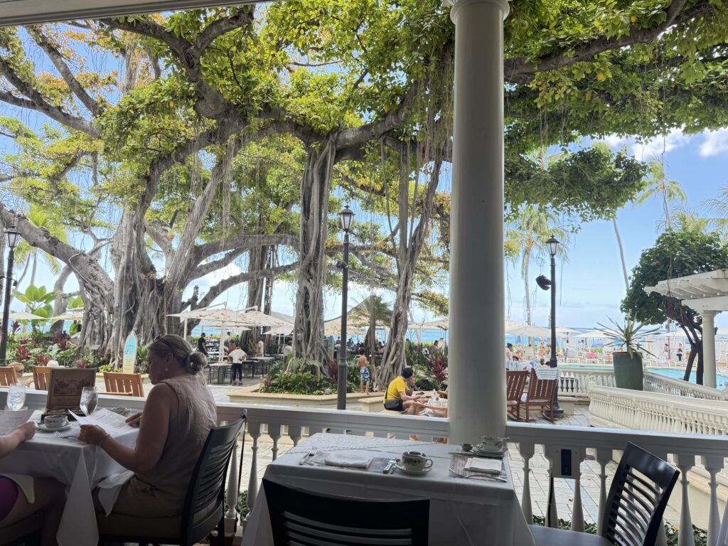 A large banyan tree viewed from a restaurant terrace. Beyond it, beach umbrellas line a beach with the blue ocean in the background. People are enjoying their meals at tables in the foreground.