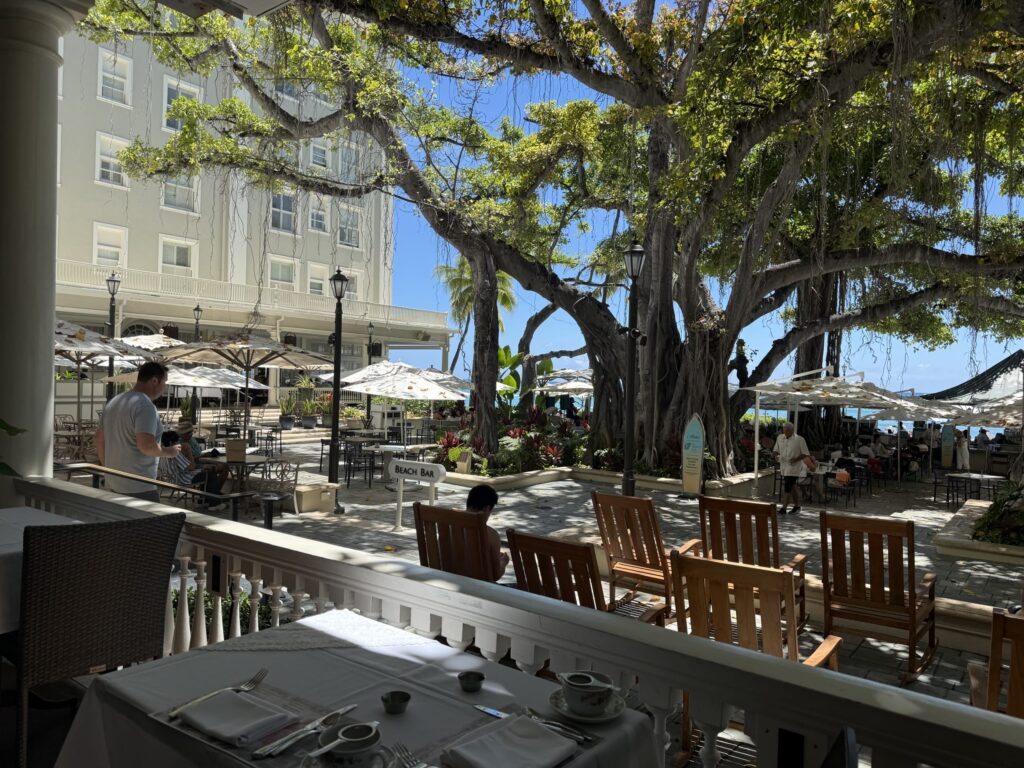 A view from the terrace of the Moana Surfrider's courtyard. Tables and umbrellas are set up under a large banyan tree where people are relaxing. A white hotel building and the blue ocean are visible in the background.