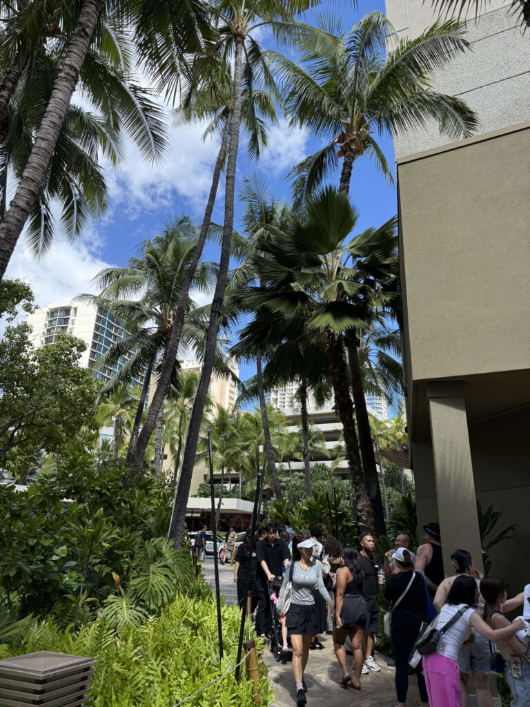 A long line of people waiting on a path surrounded by tall palm trees and tropical foliage, with modern buildings and a blue sky in the background.