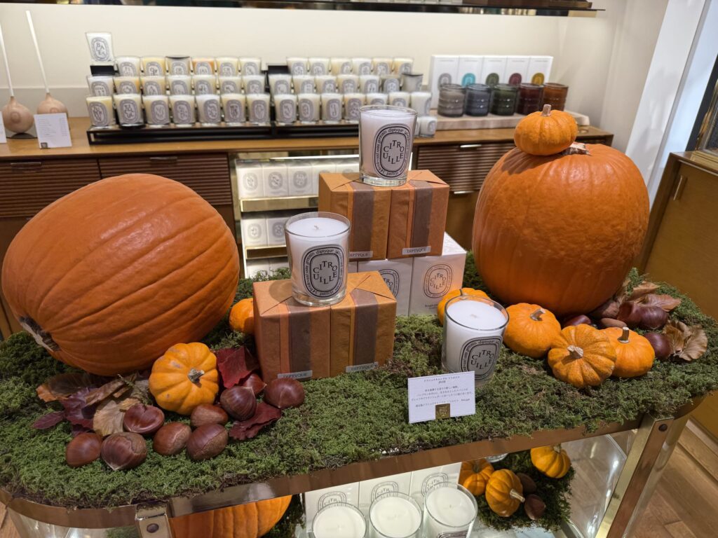 Diptyque（ディプティック）の店舗に飾られた、限定キャンドル「シトルイユ」の秋らしいディスプレイ。苔の上に大小様々なカボチャや栗が置かれ、キャンドルが美しく陳列されている。