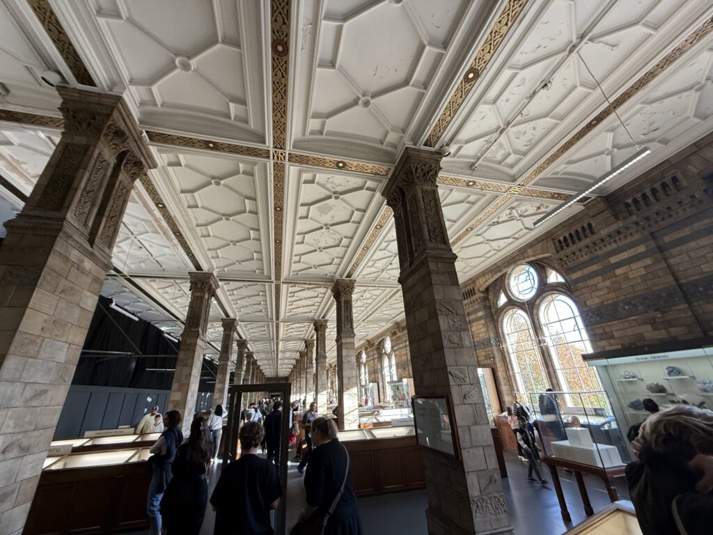 博物館の宝石コレクション展示室。装飾された高い天井と石造りの柱、並ぶ展示ケースを見学する人々。