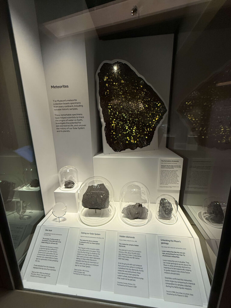 博物館の展示ケース内で神秘的に輝く巨大なパラサイト隕石の断面と、ガラスドームに収められた複数の小さな隕石標本