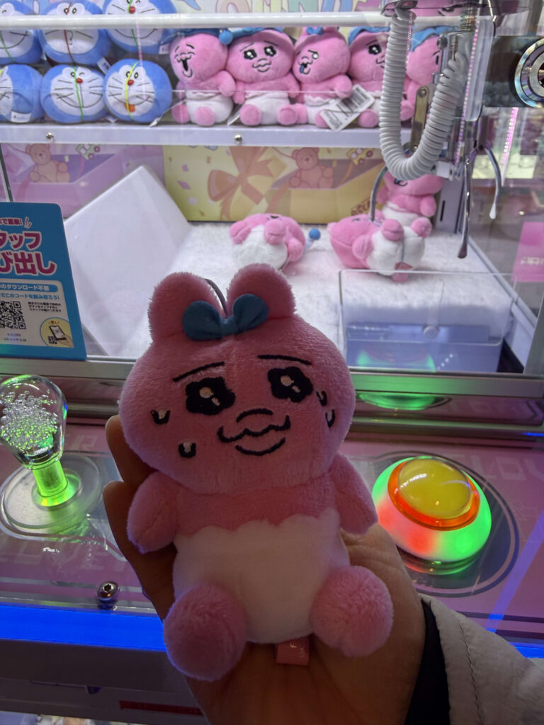 クレーンゲーム機の前で手に持った、青いリボンをつけたおぱんちゅうさぎのぬいぐるみ