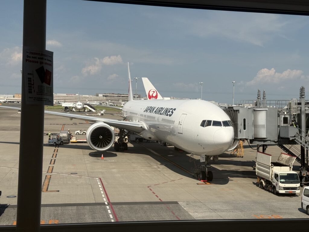 Japan Airlines (JAL) plane parked at an airport gate under a clear blue sky