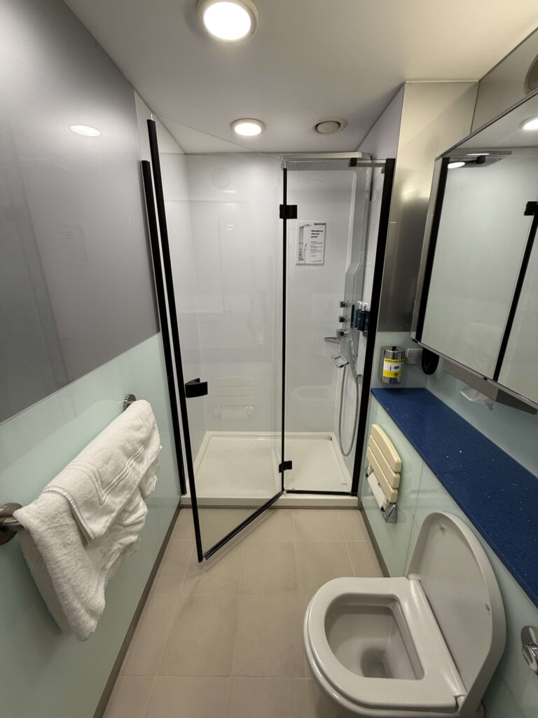 Interior of a private shower room featuring a glass shower stall, toilet, and mirror vanity