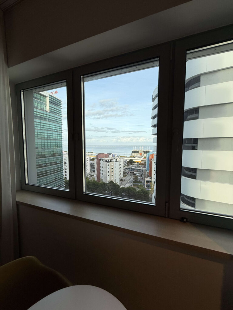 View of modern buildings and the distant Tagus River seen through an interior window