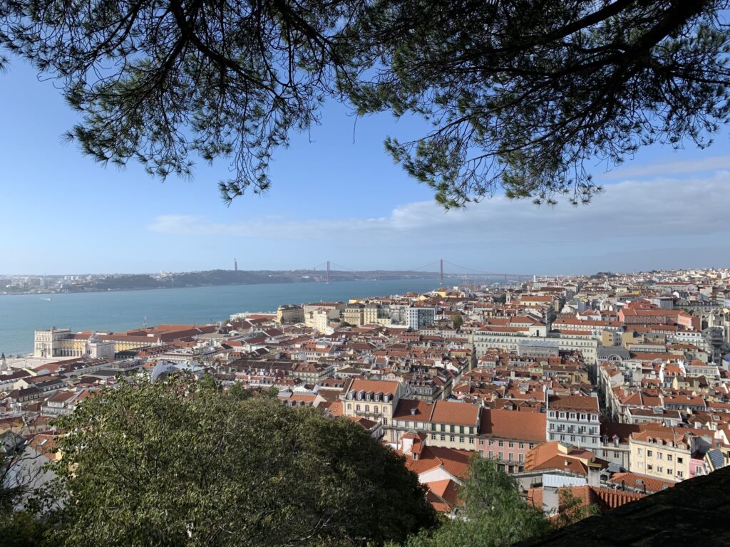 松の枝越しに望むリスボンの街並み、オレンジ色の屋根、テージョ川、遠くの4月25日橋