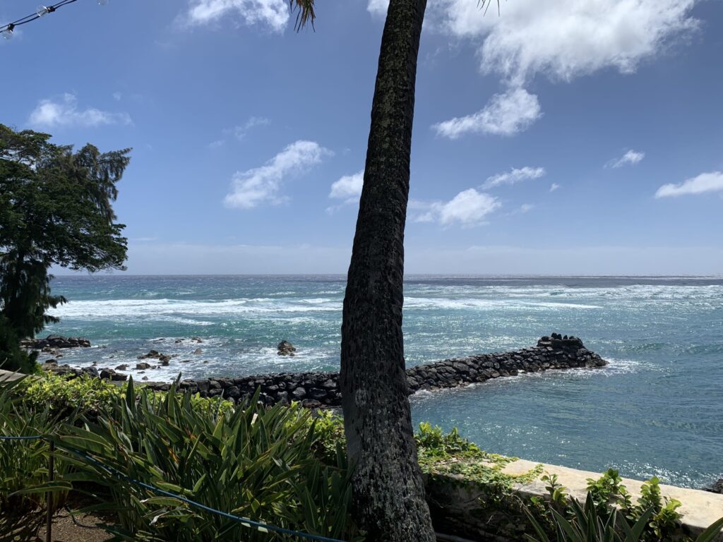 A palm tree trunk rising against a backdrop of blue sky, turquoise ocean, and a rocky jetty