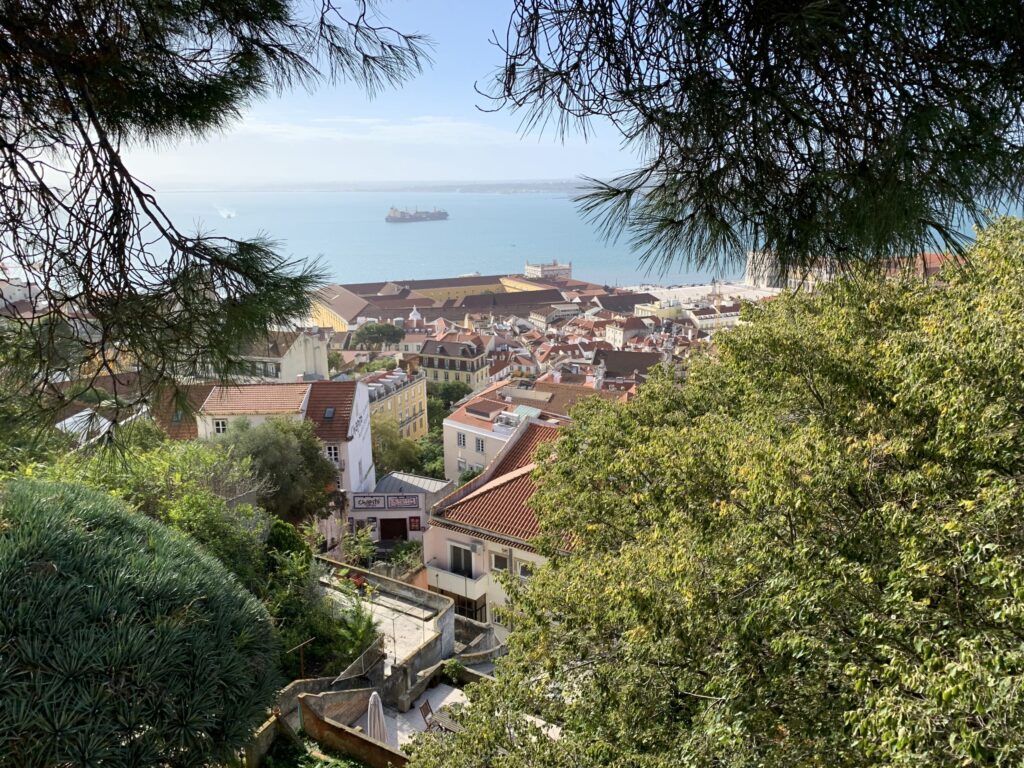 A scenic view of the Tagus River and orange-roofed cityscape framed by pine tree branches with a cargo ship in the distance