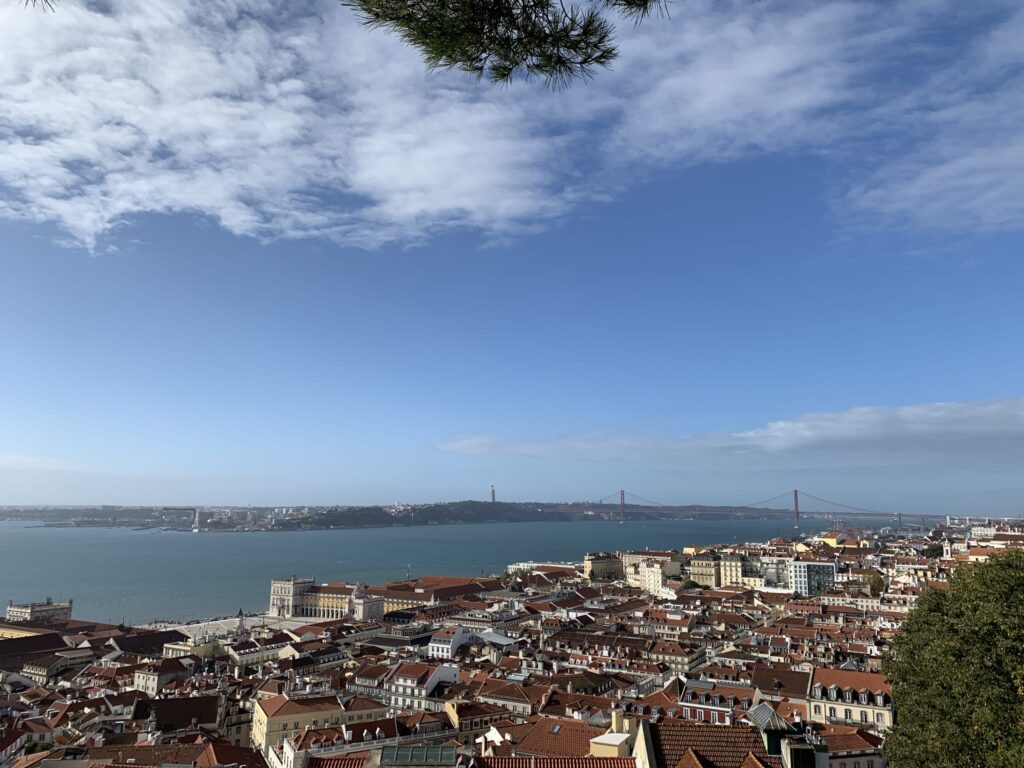 松の枝越しに望むリスボンの街並み、テージョ川、4月25日橋、対岸のクリスト・レイ像