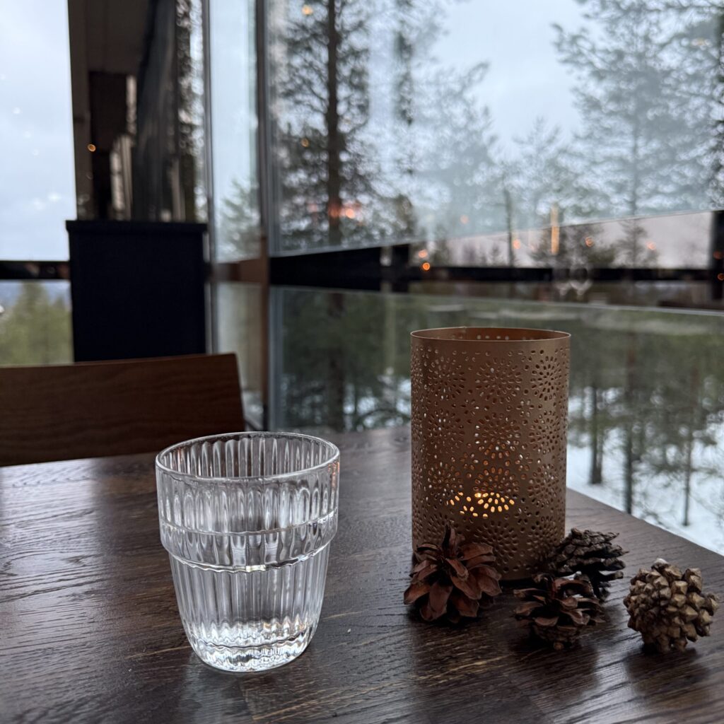 オーロラを待つ特等席。ロヴァニエミ『Restaurant Sky Kitchen & View』で極上の北欧ディナーを