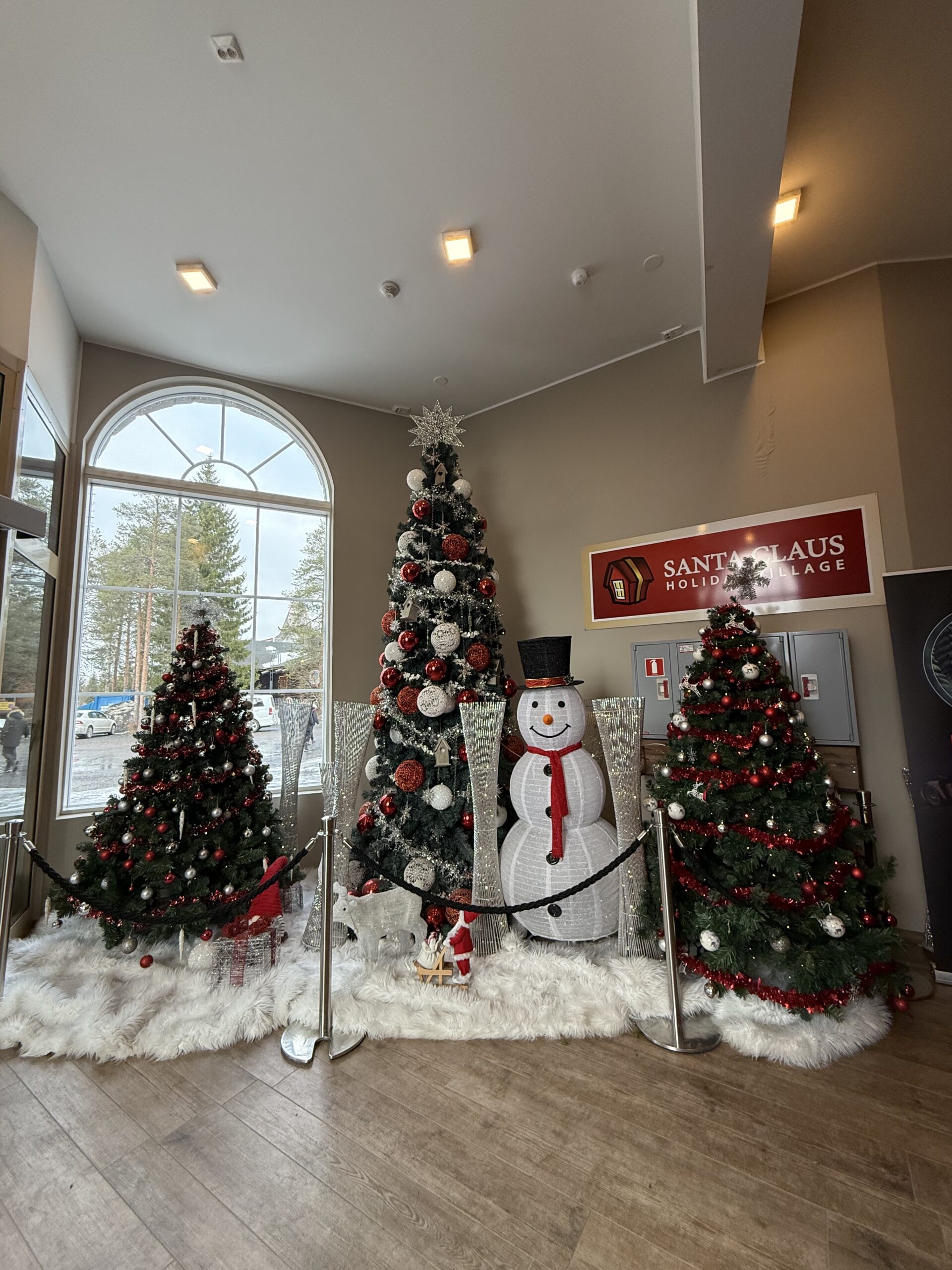 アーチ窓とクリスマスツリー