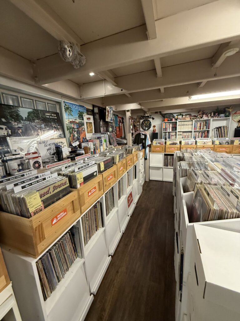 Basement record section